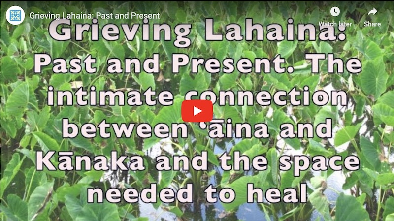 Grieving Lahaina YouTube Video